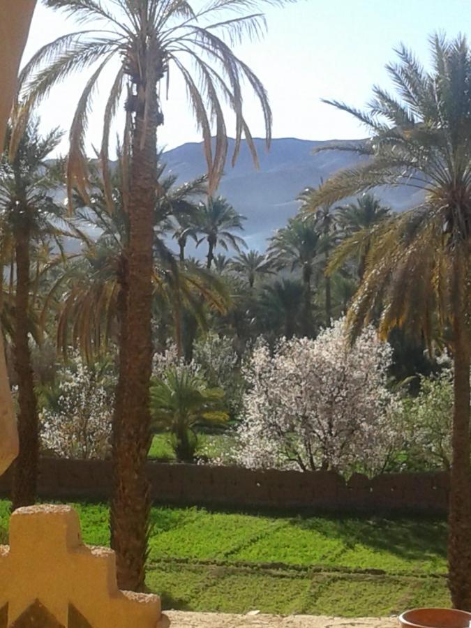 Отель Kasbah Maktob Tamnougalt Агд Экстерьер фото